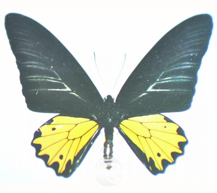 image003.jpg