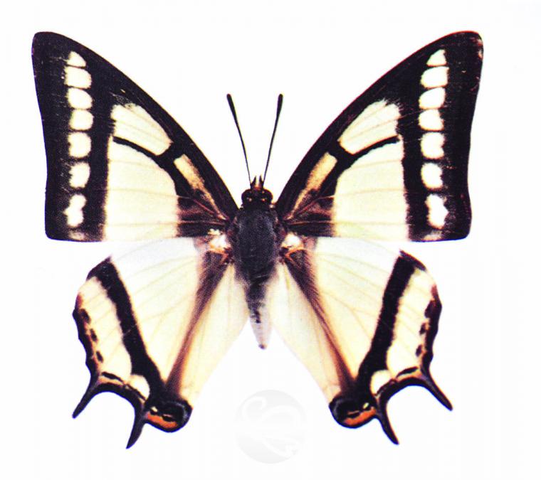 image151.jpg
